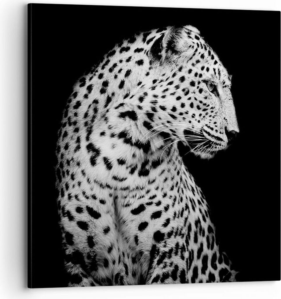 Bild auf Leinwand - Leinwandbild - Einteilig - Leopard Panther Katze - 70x70cm - Wand Bild - Wanddeko - Wandbilder - Leinwanddruck - Bilder - Wandd...