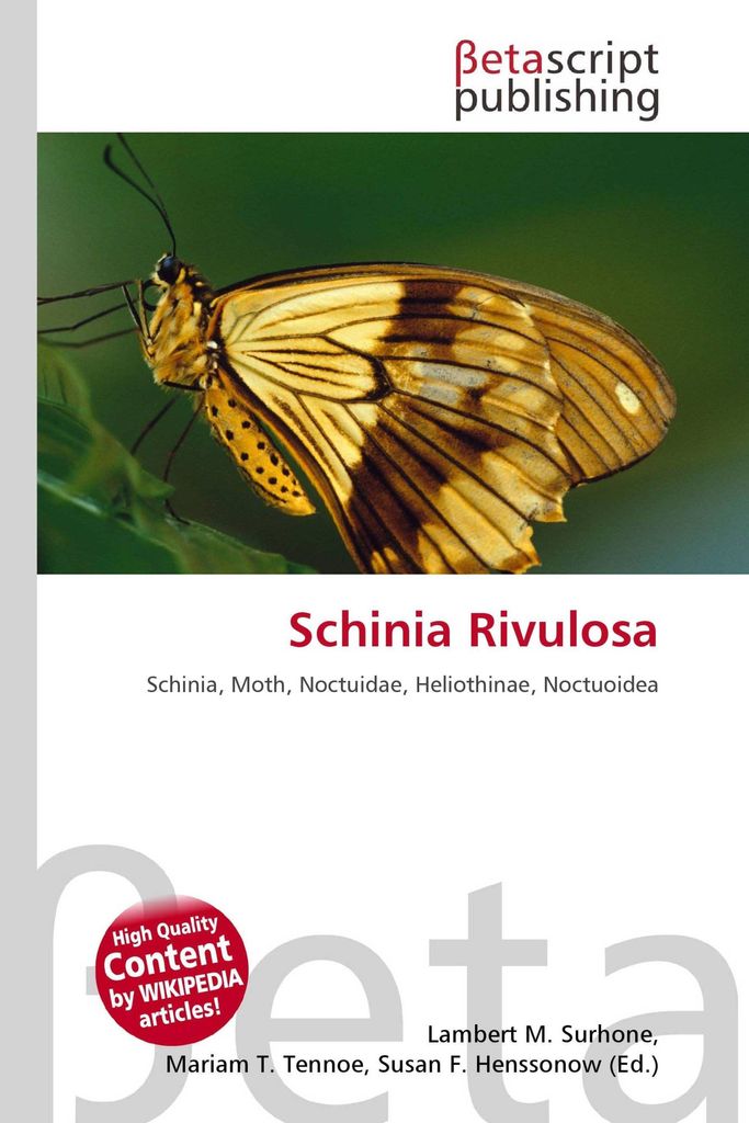 Schinia Rivulosa