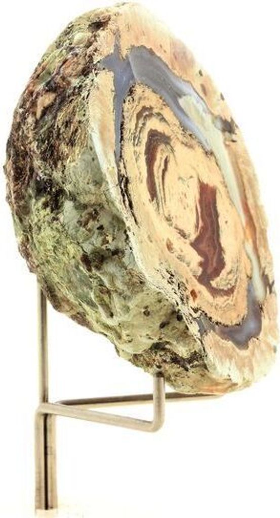 Lithophysis 329,0 Karat
