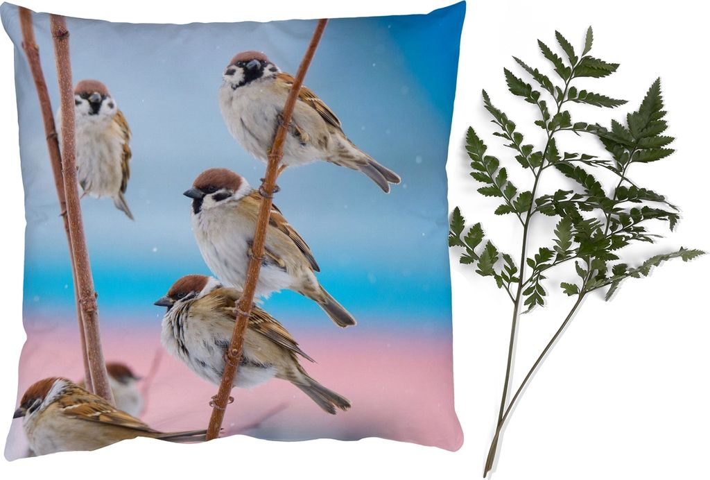 MuchoWow Zierkissen Sofakissen Wohnzimmer Dekokissen 60x60 cm Vögel - Spatz - Tiere - Äste - Sitzfläche - Foto Polster