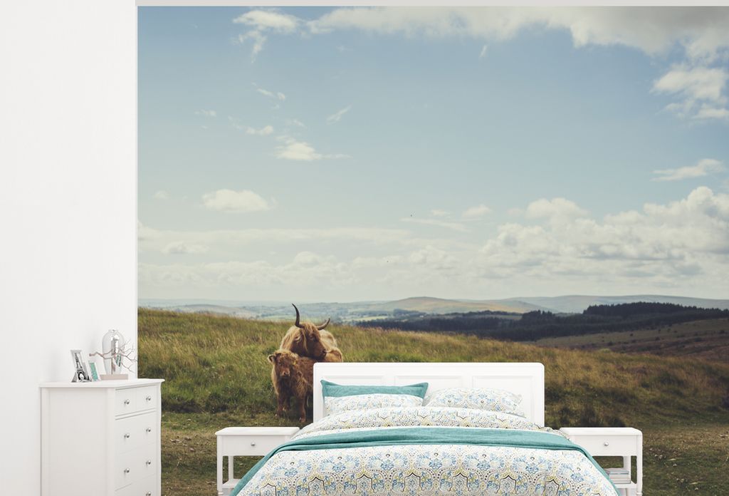 MuchoWow Fototapete für Wohnzimmer oder Schlafzimmer Wandtapete Vinyl Motivtapete Schottische Highlander - Gras - Wolken - Tiere - 275x220 cm - ...