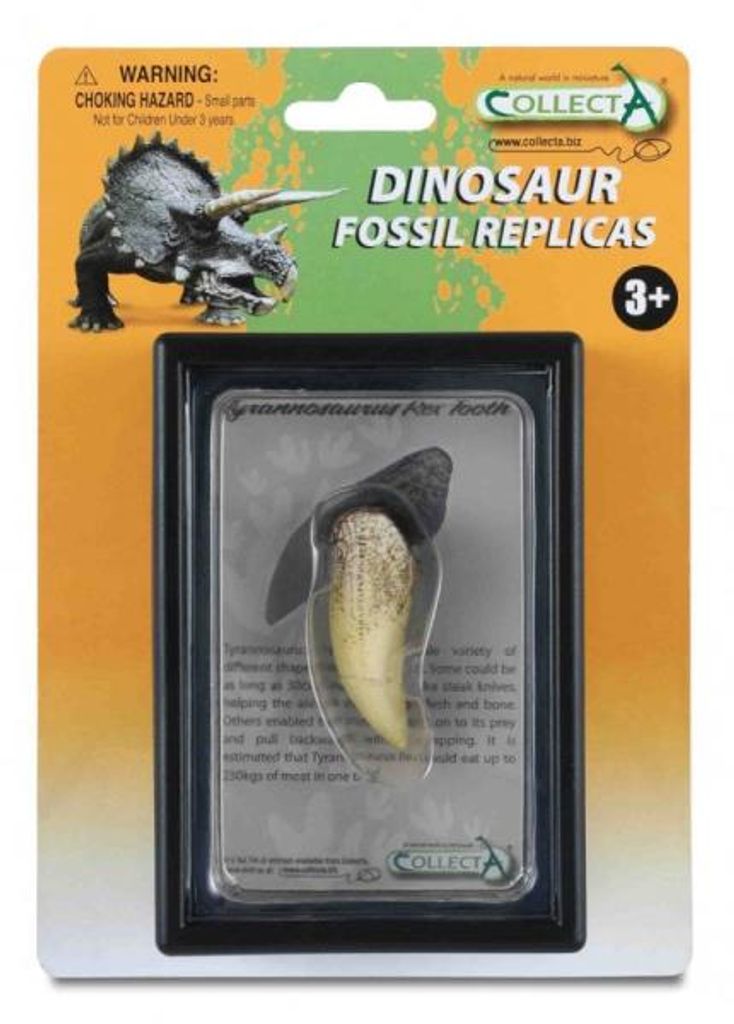Zub Tyranosaura V Balení 89281 Collecta Obrázok produktu 