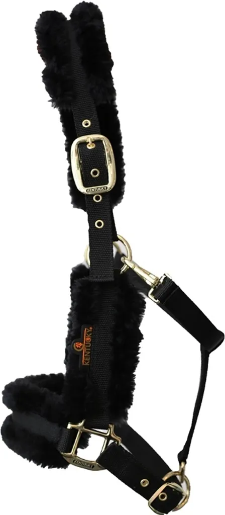 Licol de Box et Concours Kentucky en Nylon avec Doublure Agneau Mou