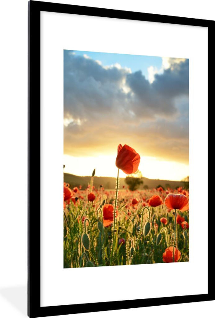 MuchoWow Gerahmtes Poster Bunter Himmel über vielen Mohnblumen 60x90 cm - Poster mit Schwarzem Bilderrahmen Wandposter Rahmen Foto Bilder - Deko...