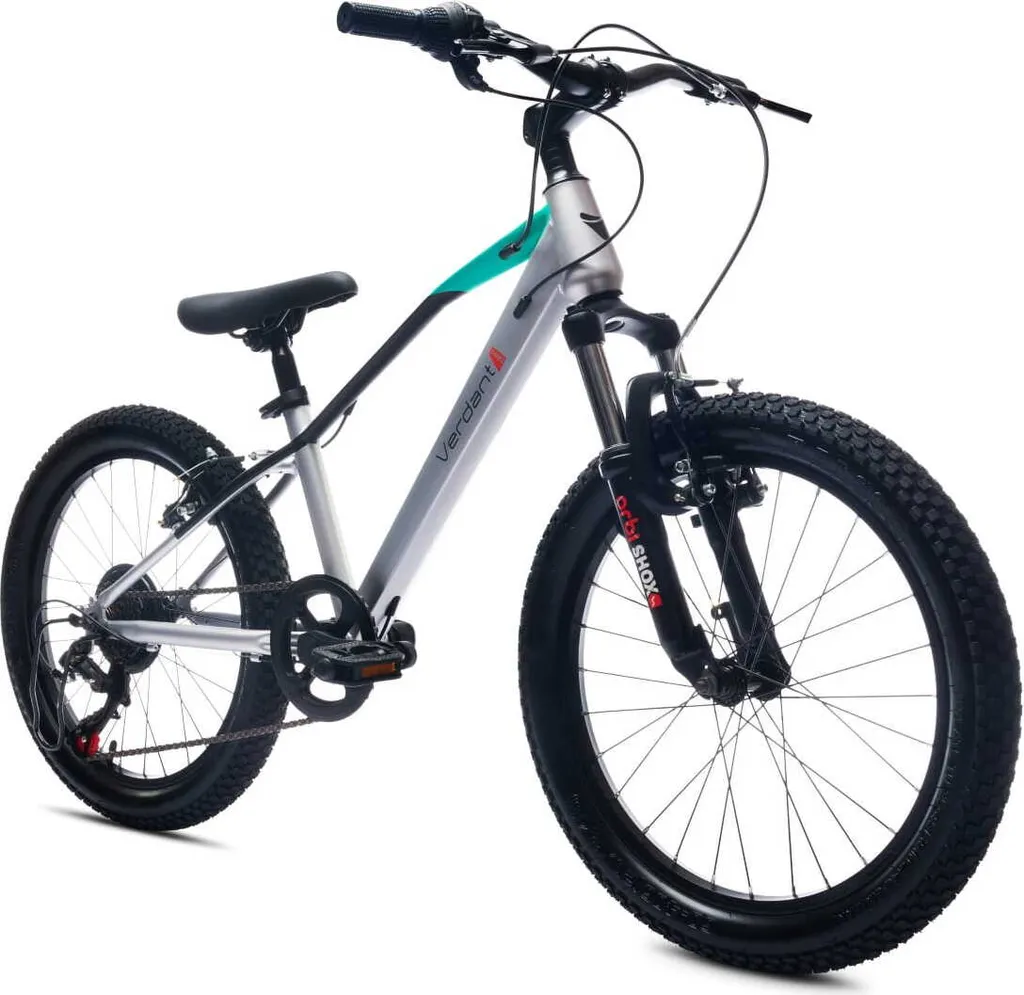 Vélo enfant 20" Verdant Bike Silver avec cadre acier et freins V-Brake