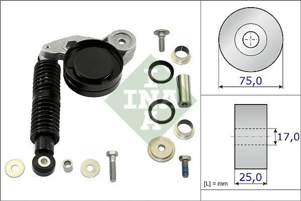 Jeu de courroies à nervures pour Audi A4 et Skoda Superb - Kit INA