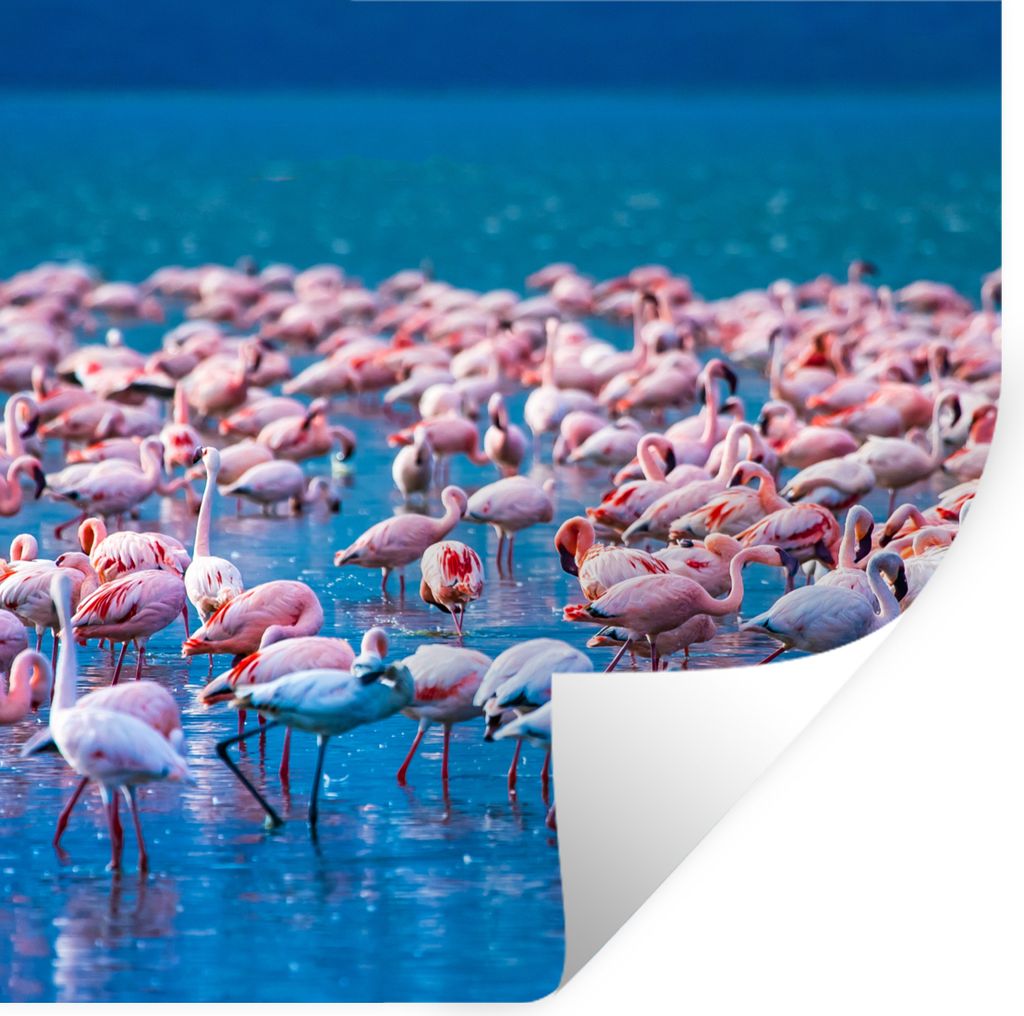 MuchoWow Wandtattoo Wandsticker Wandaufkleber Flamingo - Wasser - Tropisch - Rosa 50x50 cm Selbstklebend und Repositionierbar - Selbstklebend - F...