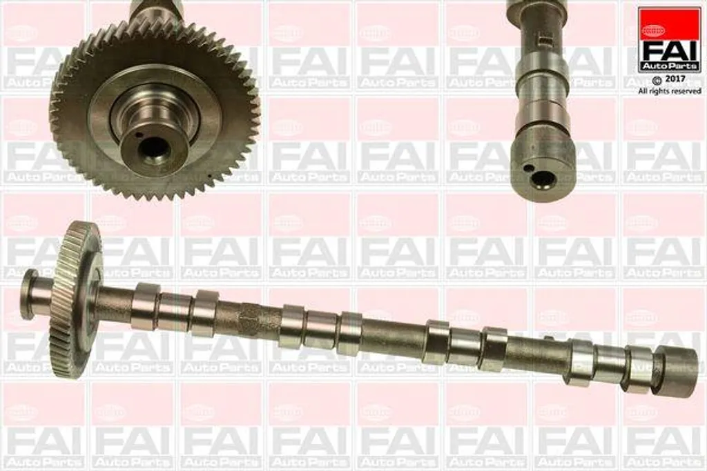 Arbre à cames de distribution C309 pour moteurs Mitsubishi et Iveco