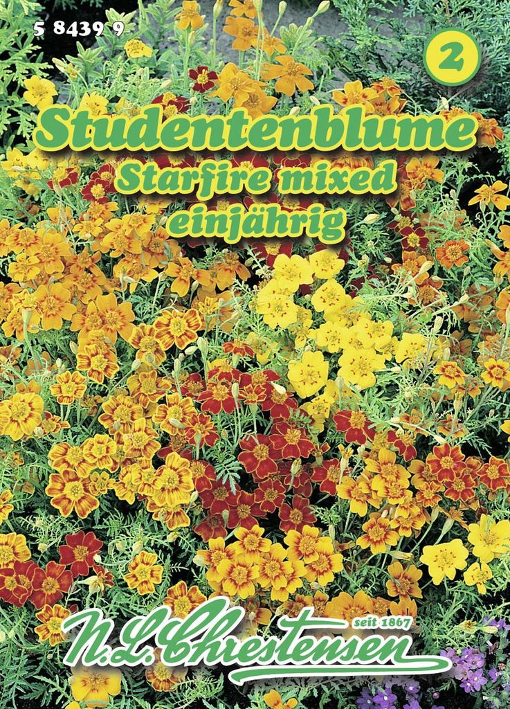 Artikelbild 1 von 'Studentenblume Starfire mixed' aus der Kategorie Studentenblumensamen