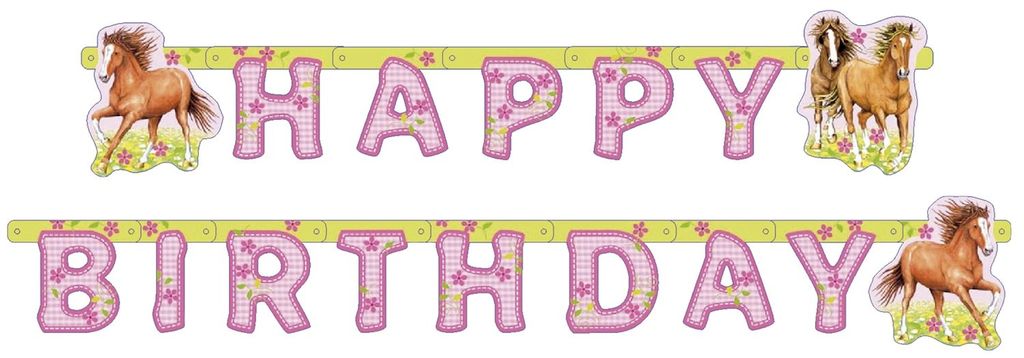 Amscan 551265, Fahnenbanner, Mehrfarbig, Geburtstag, 1830 Produktbild 
