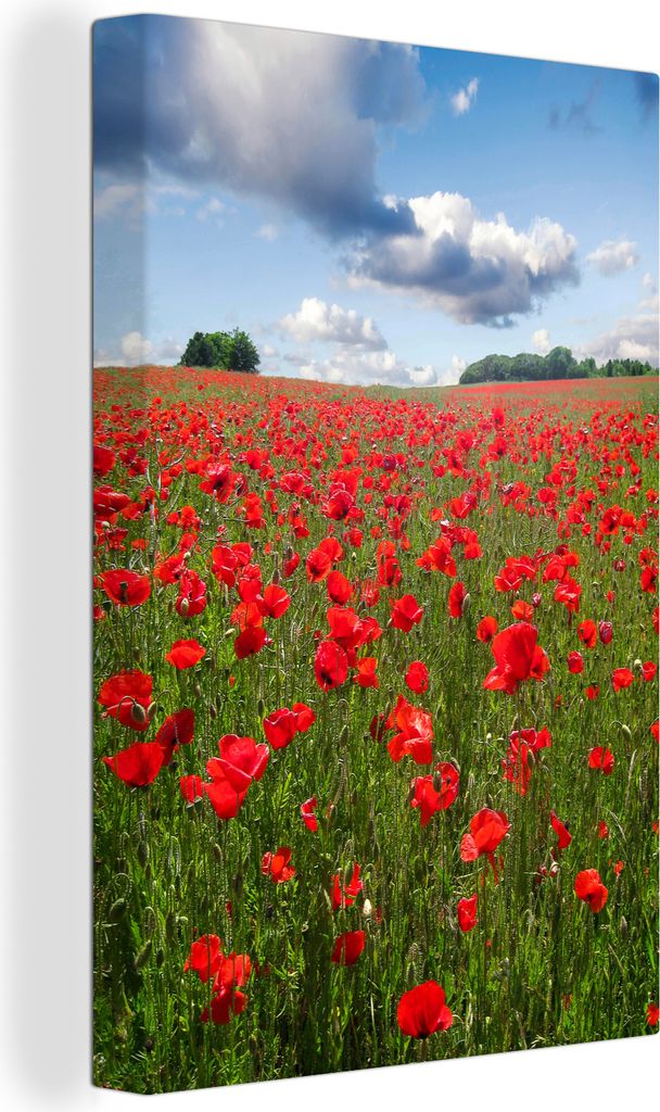 OneMillionCanvasses - Leinwandbilder - 90x140 cm, Mohnblumen - Himmel - Blumen, Wandbilder Kunstdruck Wanddekoration - Wandschmucke - Schlafzimmer