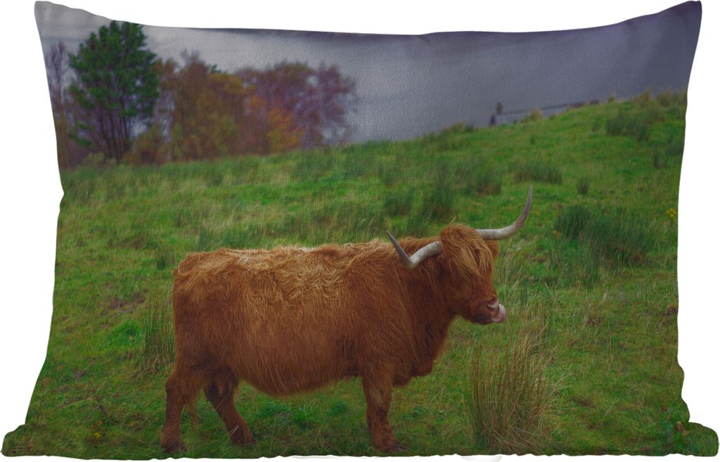 MuchoWow Outdoor Kissen - Schottische Hochlandrind - Gras - Wasser - Tiere - 60x40 cm - Wetterfest - Lounge Kissen - Zierkissen - Kissen für Inn...