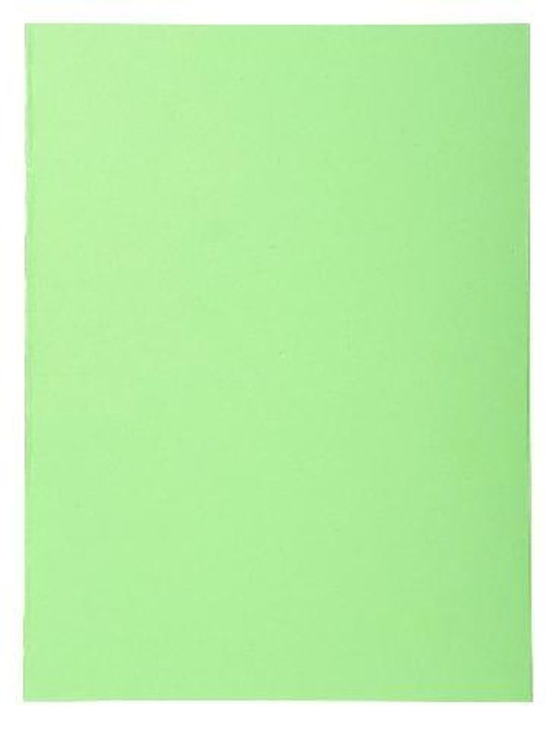 Exacompta 5x Pack 100 Aktendeckeln Recycling A4 - Intensivgrün - 410013E