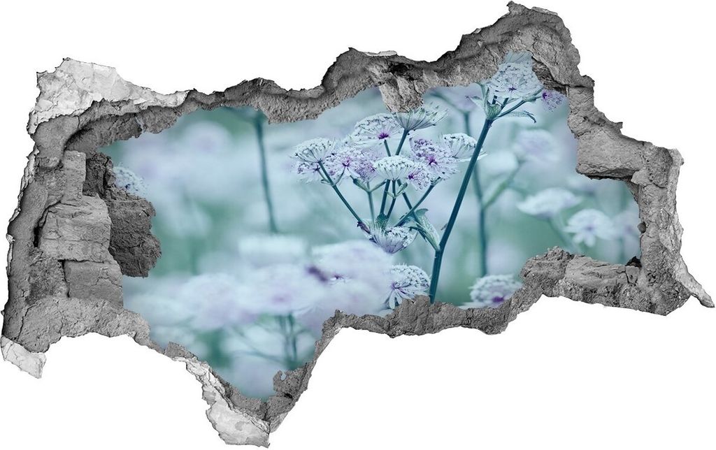 Selbstklebender Loch-3D-Aufkleber 95x73 cm Astrantia major