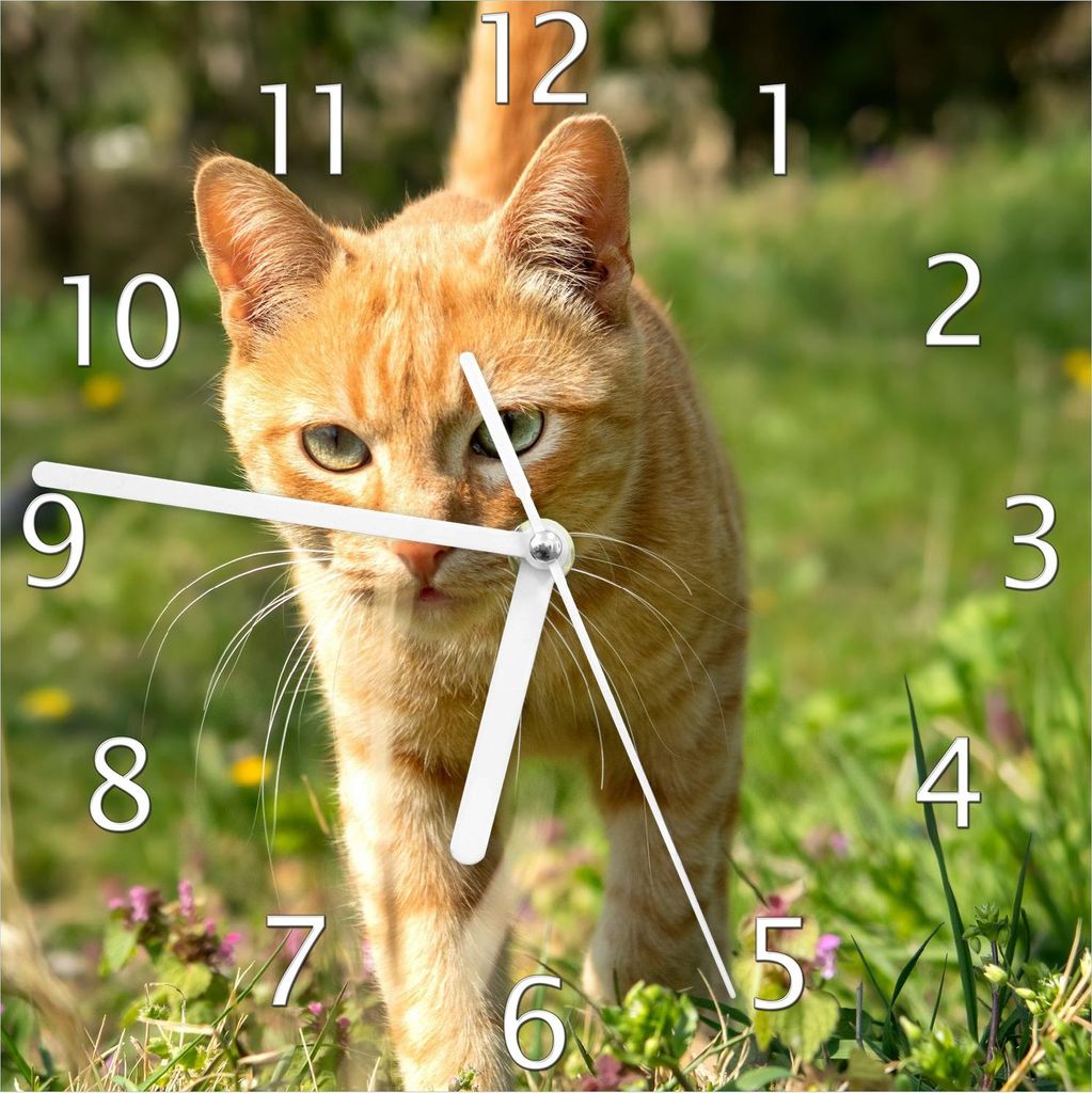 Wallario Design Wanduhr Neugierige Katze im Gras aus Echtglas, Größe 20 x 20 cm