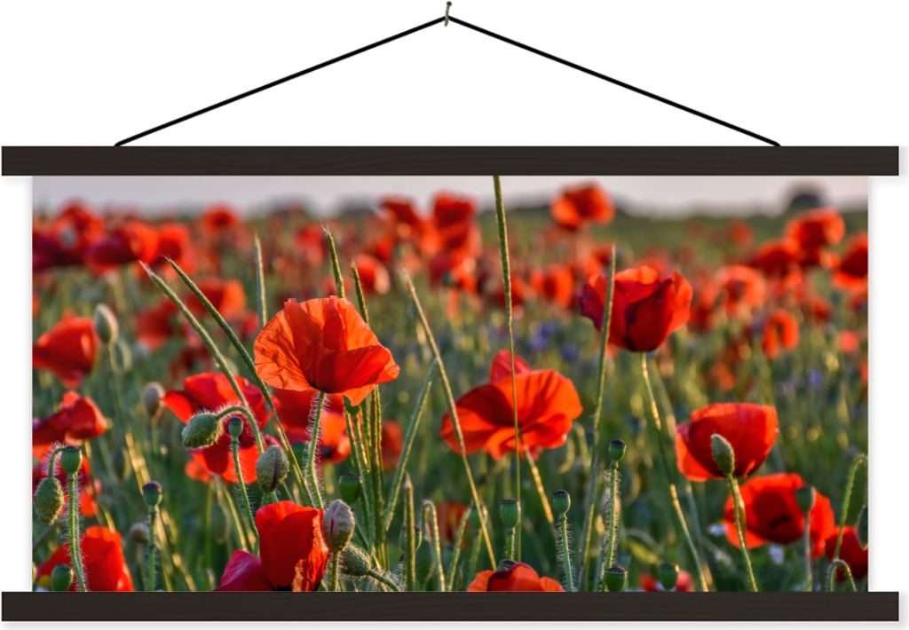 MuchoWow Textilposter Blumen - Mohnblumen - Natur - Rot 90x45 cm mit schwarzem Rahmen - Klemmleisten