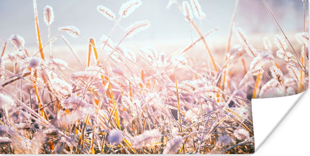 MuchoWow Poster Gras - Sonne - Winter - Schnee 40x20 cm - Poster für die Wand - Poster Schlafzimmer