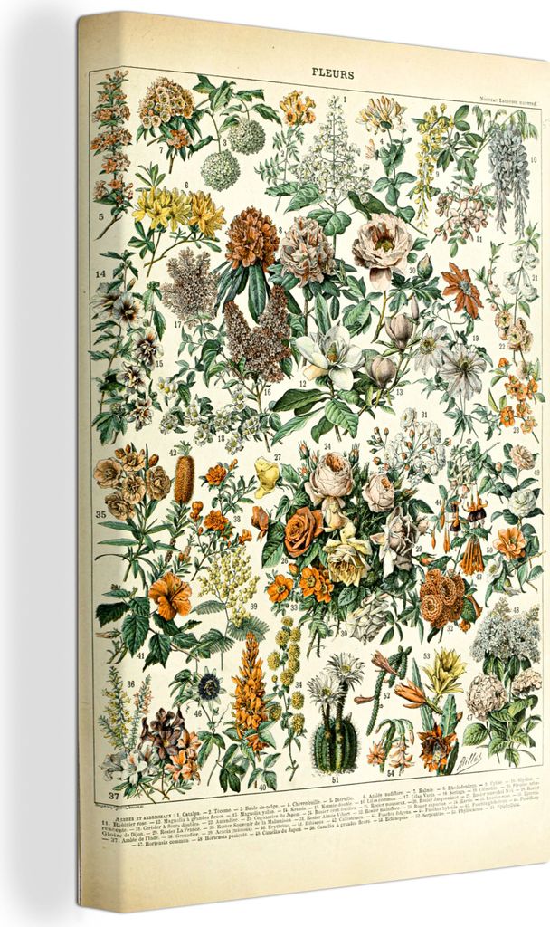 OneMillionCanvasses - Leinwandbilder - 90x140 cm, Blumen - Orange - Gelb, Wandbilder Kunstdruck Wanddekoration - Foto auf Leinwand - Gemälde auf...