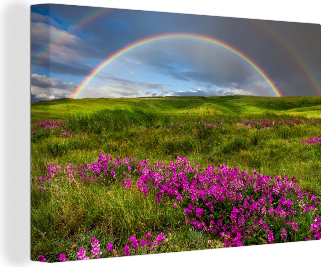 OneMillionCanvasses - Leinwandbilder - 150x100 cm, Regenbogen - Blumen - Heidekraut, Wandbilder Kunstdruck Wanddekoration