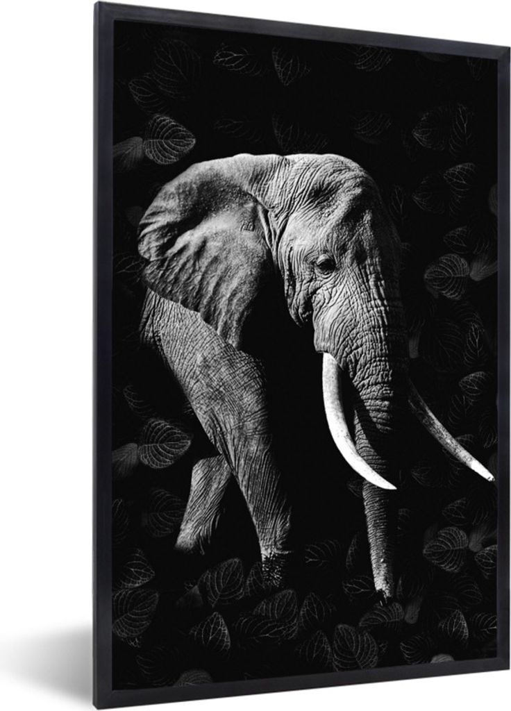 MuchoWow Gerahmtes Poster Botanischer Elefant auf dunklem Hintergrund - schwarz und weiß 60x90 cm - Poster mit Schwarzem Bilderrahmen Wandposter...