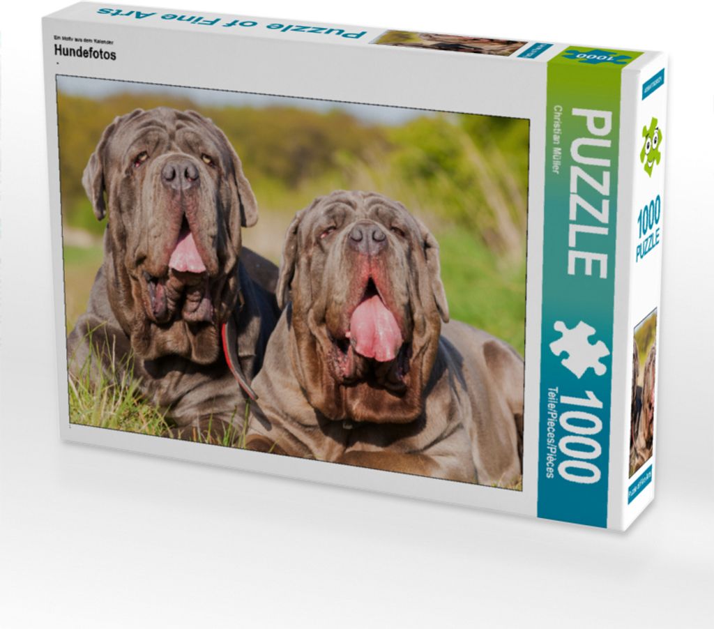 CALVENDO Puzzle Zwei Mastino Napoletano | 1000 Teile Lege-Größe 64x48cm Foto-Puzzle für glückliche Stunden
