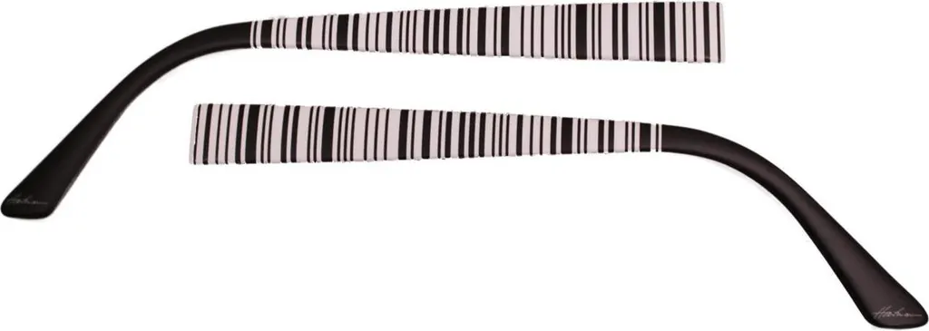 Paire de branches amovibles Eye Max 5420.41 pour monture de vue pro