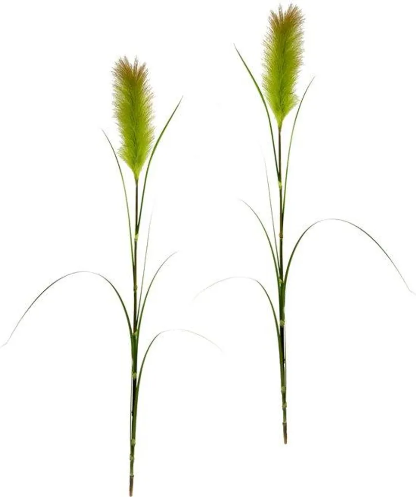 Plante artificielle : herbe de la pampa 125cm en lot de 2 fausses herbes