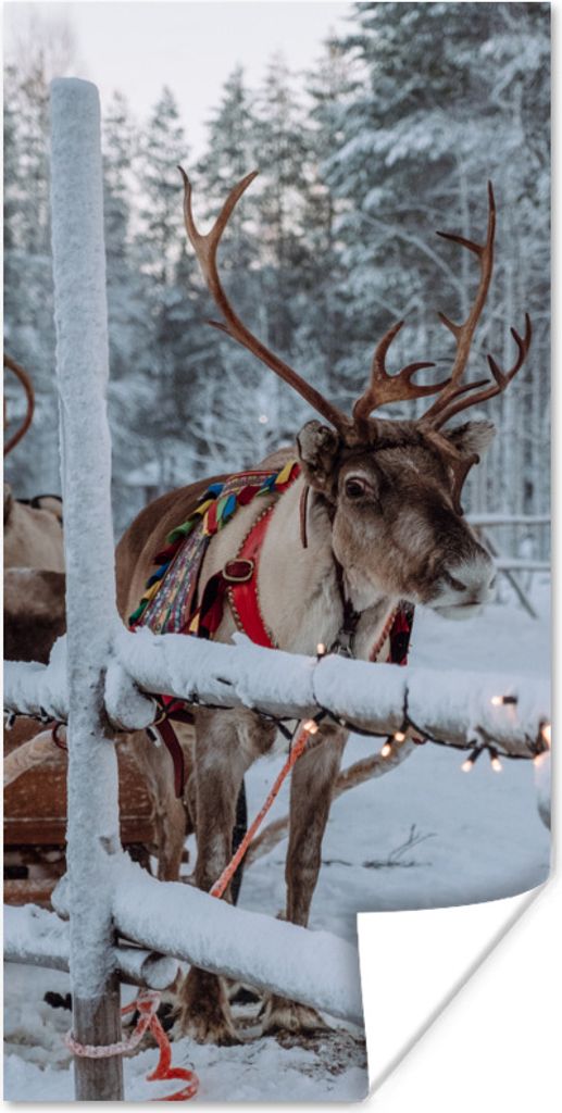 MuchoWow Poster Ein Rentier im Weihnachtsmanndorf in Finnland 75x150 cm - Dekoration für die Wände