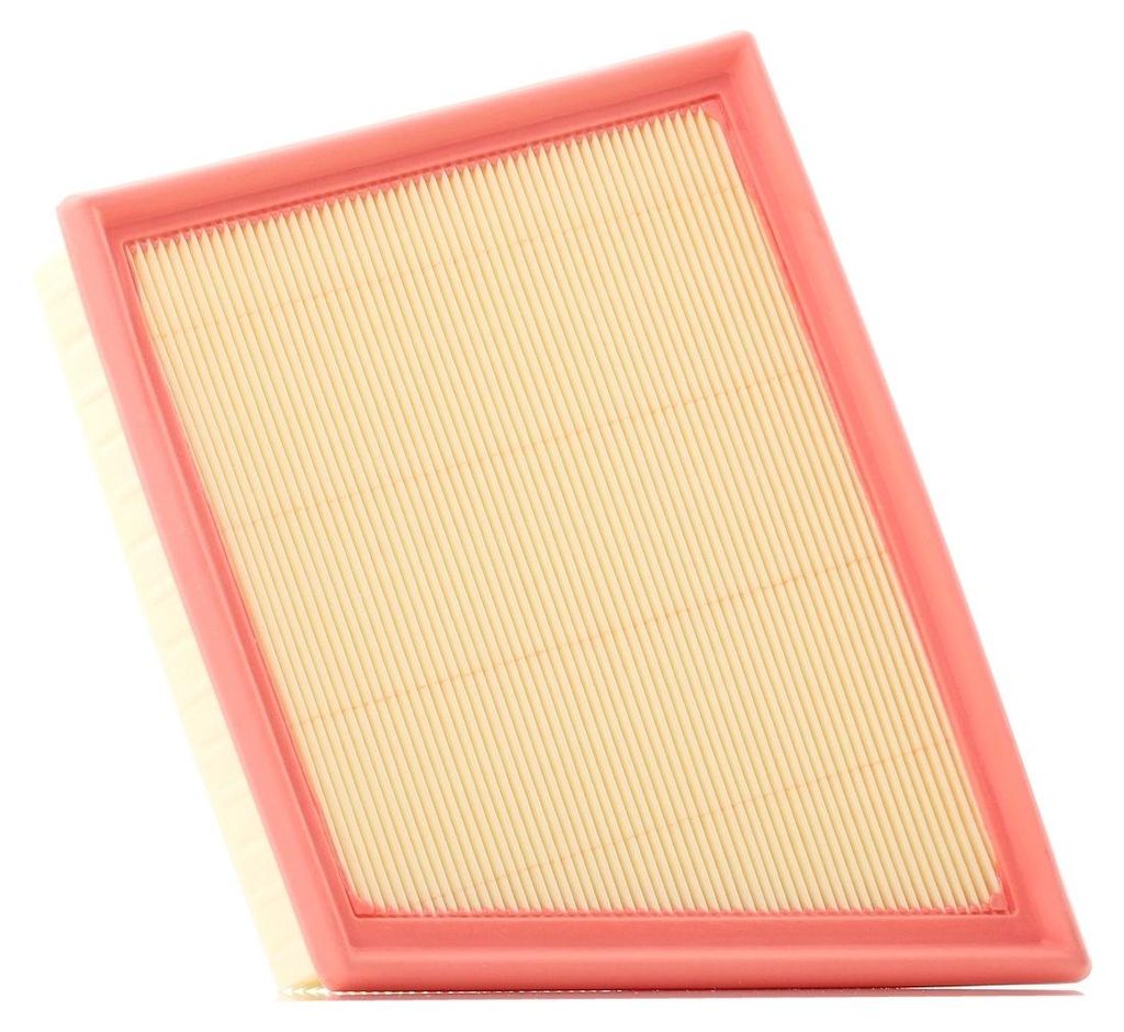 Luftfilter FILTRON AP 193/8 für LAND ROVER Range Rover Produktbild 
