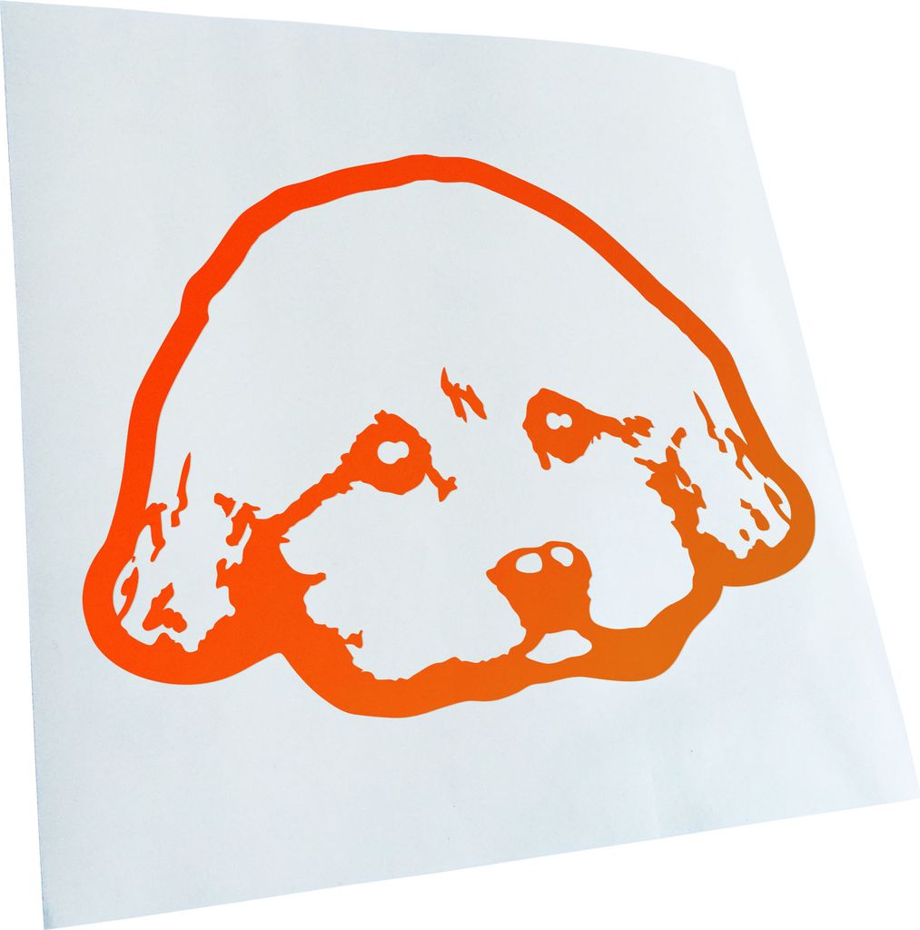Kiwistar - Autoaufkleber - yorkie poo Hund - Neonorange - 30x21cm - Aufkleber für Auto, Laptop, Fahrrad, LKW, Motorrad mehrfarbig JDM Decal Racing