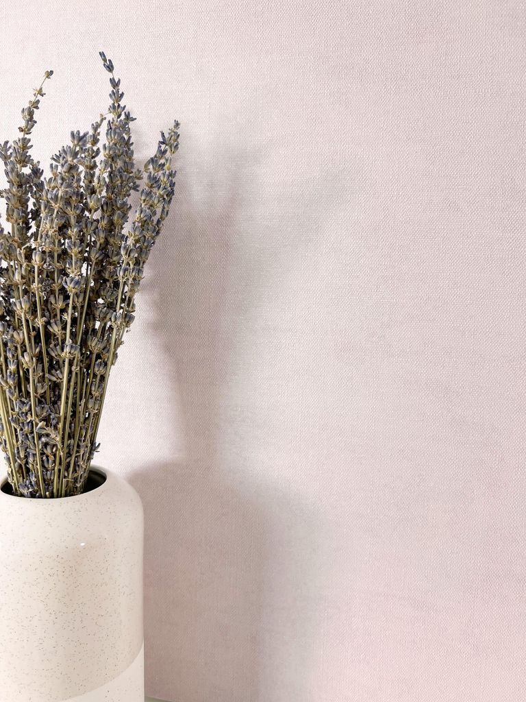 NEWROOM Tapete Co. 10 Dusty Lilac Vliestapete - Modern Unifarbe Struktur Germany