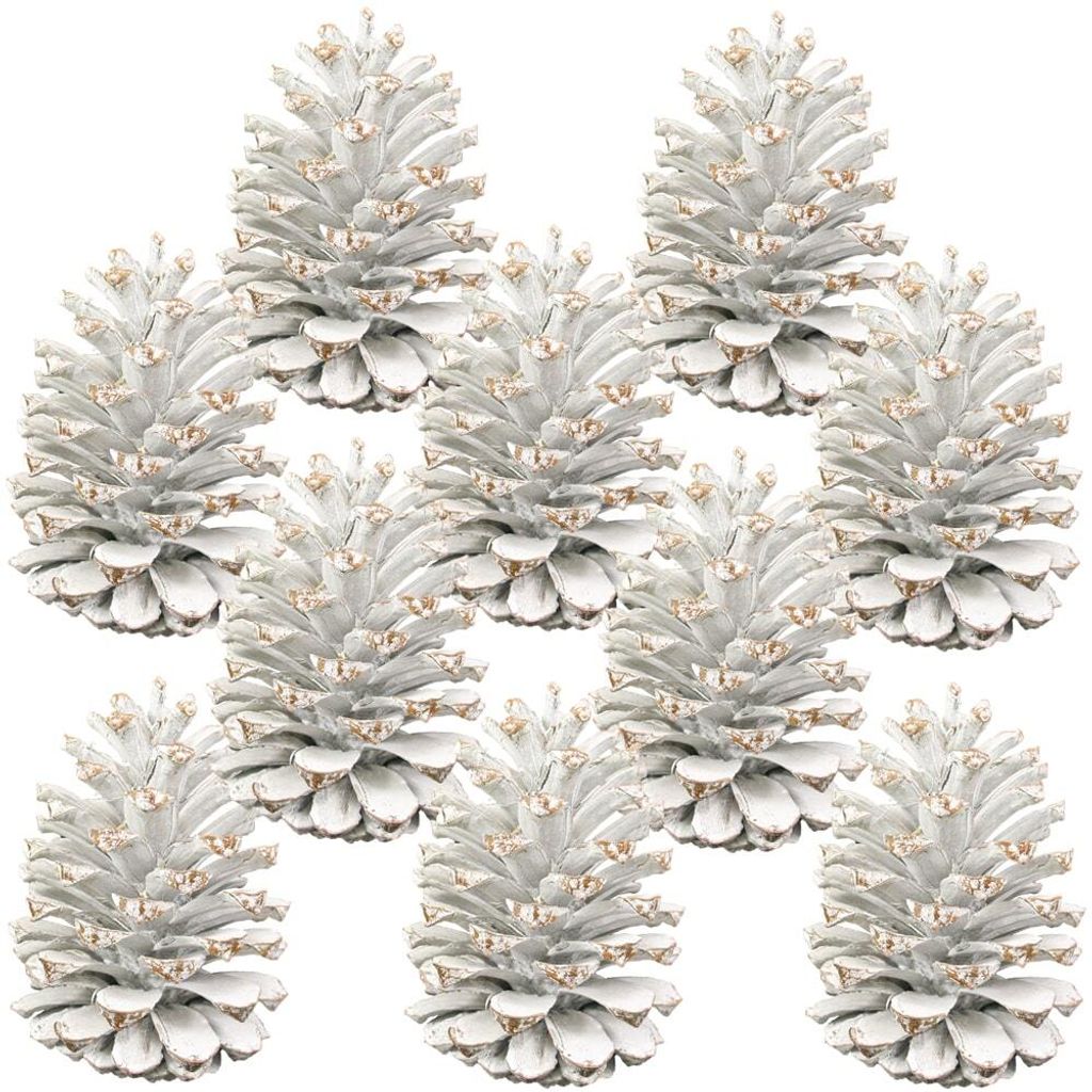 Zapfen für Gestecke Tannenzapfen zum Basteln weiß frosted Deko 10er Set 10-14 cm