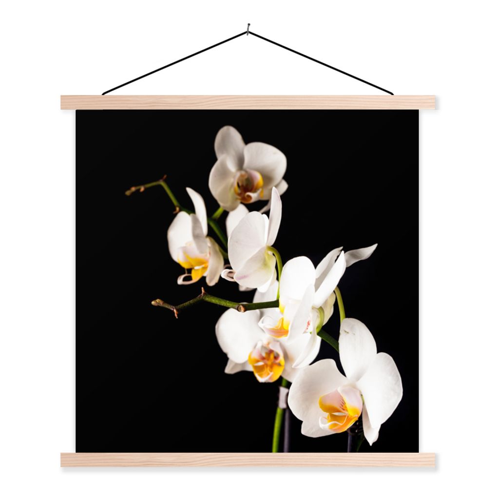 MuchoWow Textilposter Orchidee - Blumen - Pflanzen - Botanisch 60x60 cm mit holzfarbenen Rahmen - Wanddekoration
