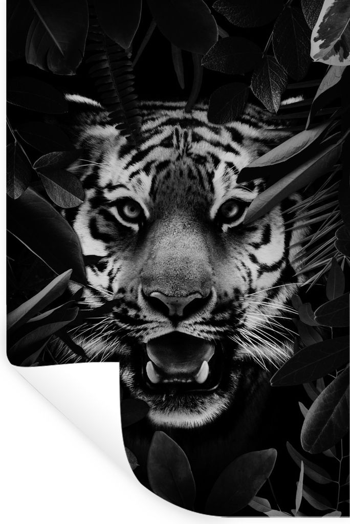 MuchoWow Wandtattoo Wandsticker Wandaufkleber Tiger zwischen den Blättern - schwarz und weiß 40x60 cm Selbstklebend und Repositionierbar - Wier...