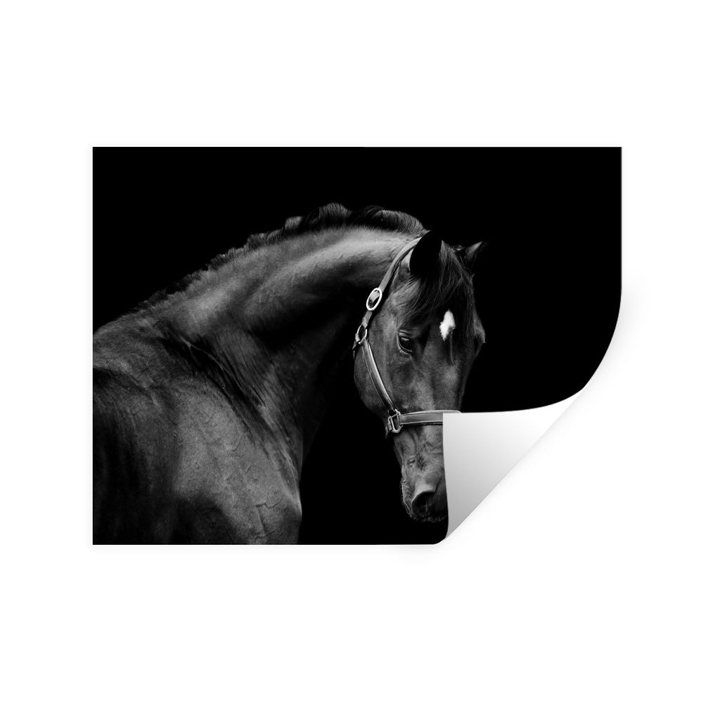 MuchoWow Wandtattoo Wandsticker Wandaufkleber Pferd - Leicht - Halfter 40x30 cm Selbstklebend und Repositionierbar - Faltenfrei