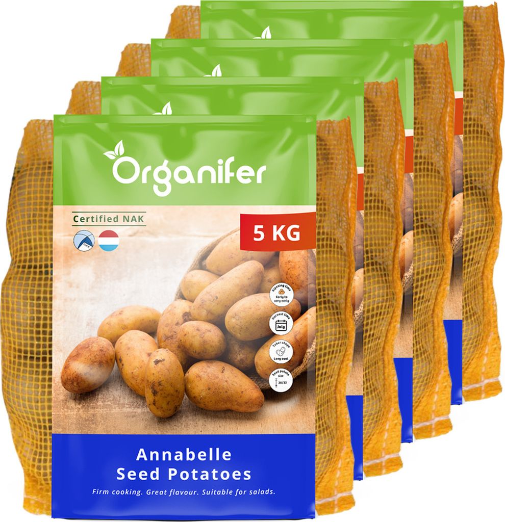 Saatkartoffeln Annabelle A 28/32 (20 kg) - Organifer