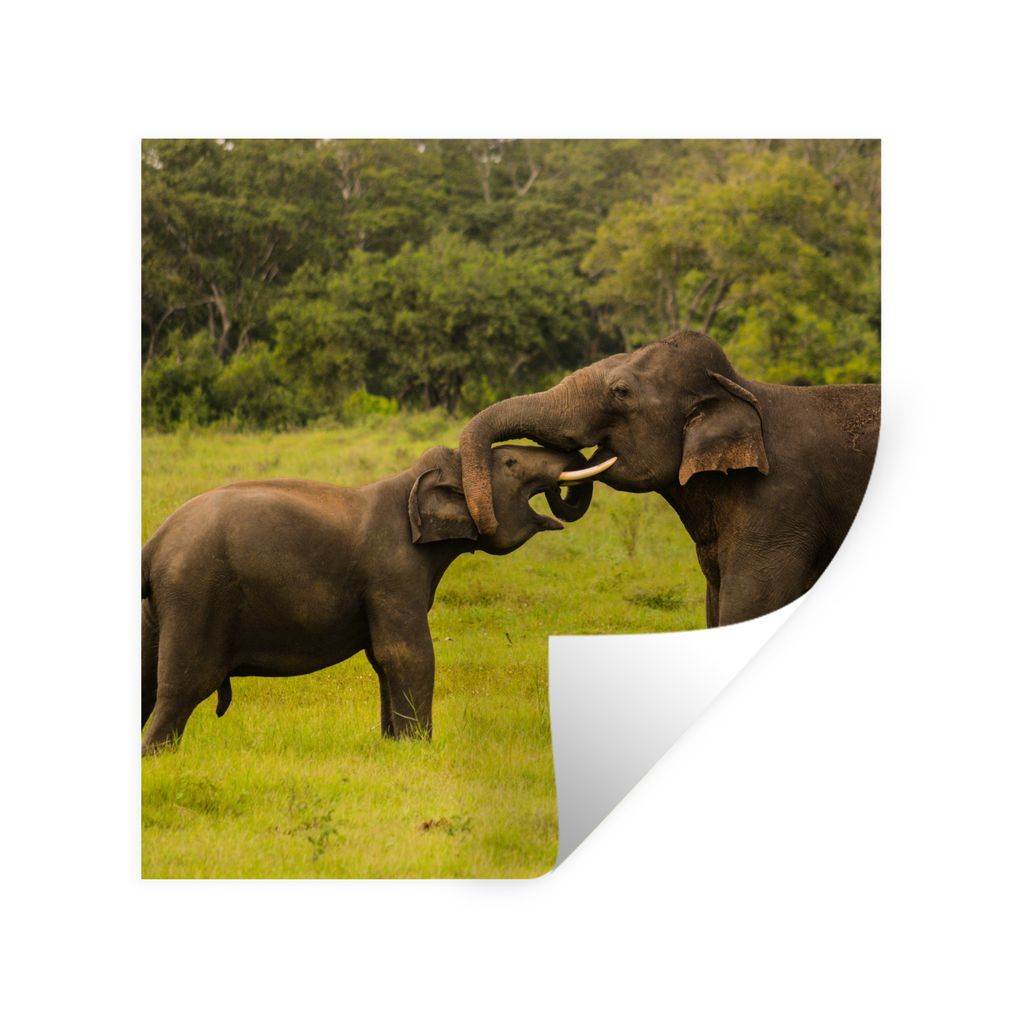 MuchoWow Wandtattoo Wandsticker Wandaufkleber Elefant - Gras - Tiere - Grün 50x50 cm Selbstklebend und Repositionierbar - Selbstklebend - Fotota...