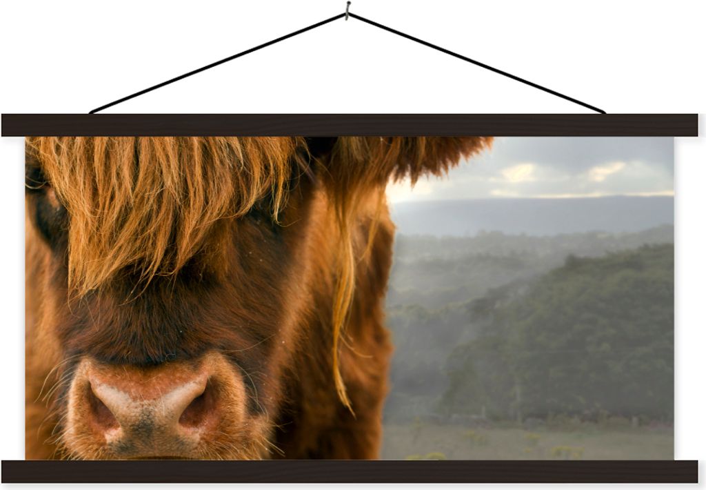 MuchoWow Textilposter Schottisches Hochlandrind - Orange - Nase 150x75 cm mit schwarzem Rahmen - Posterleiste