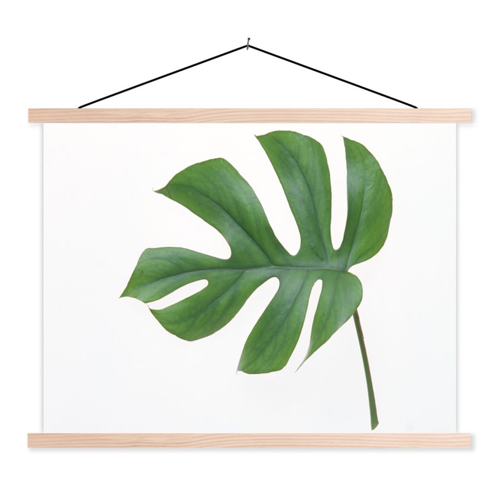 MuchoWow Textilposter Botanisches Blatt auf weißem Hintergrund 150x113 cm mit holzfarbenen Rahmen - Poster