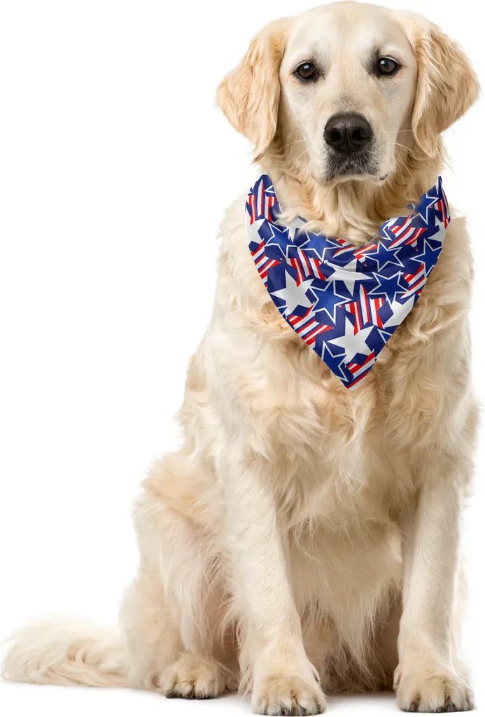 Offerta Bandana Cani ABAKUHAUS 55cm | Stile Americano Esclusivo