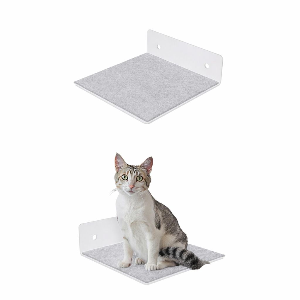 QLS Katzenregal 20x20 cm Wandregal Katze Kletterwand Produktbild 
