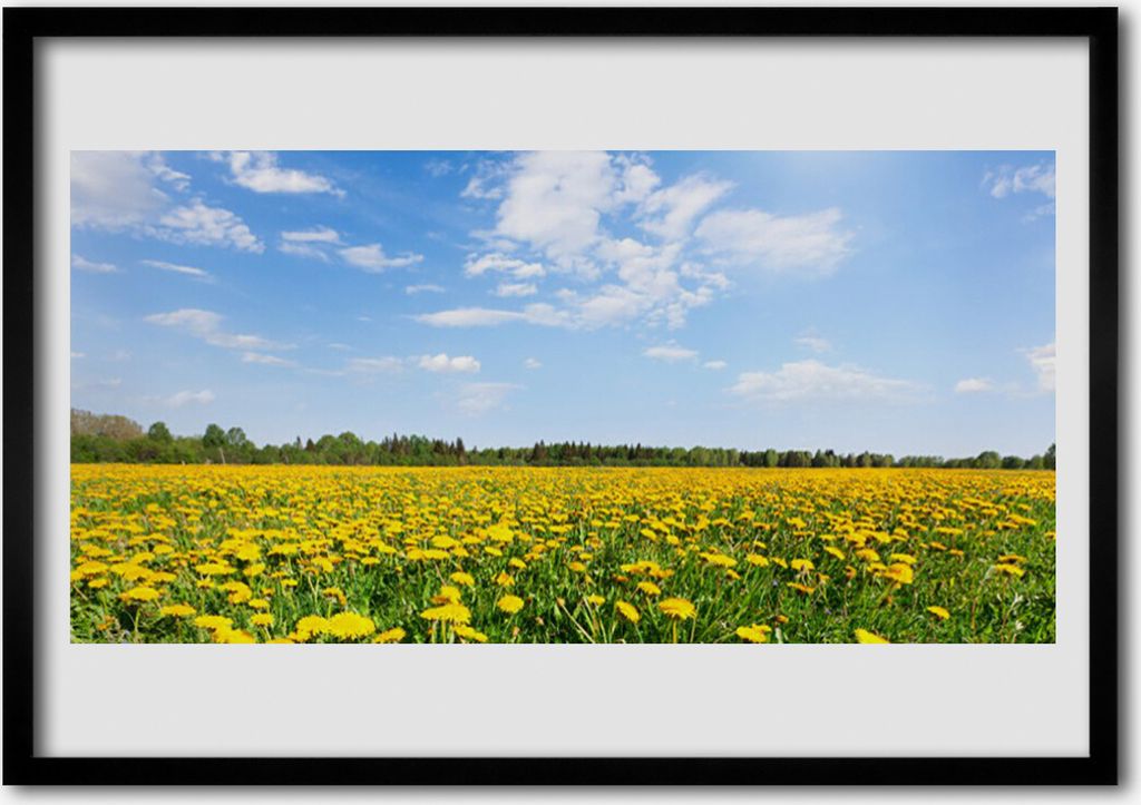 Bild 70x50 MDF-Rahmen Wandkunst Löwenzahn Wiese