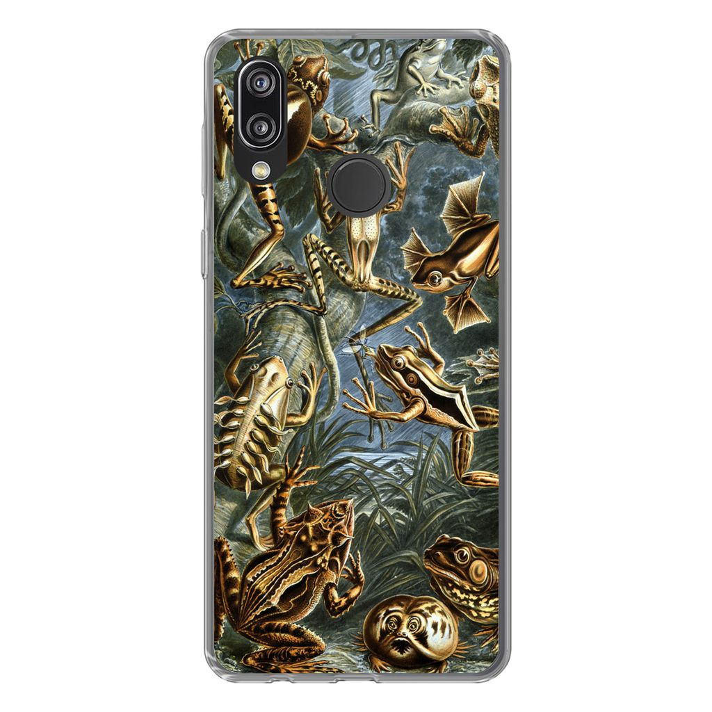 MuchoWow Handyhülle Schutzhülle Hülle für Huawei P20 Lite (2020) Batrachia - Haeckel - Alte Meister Silikon Softcase Handy Hülle - Kartenhalter