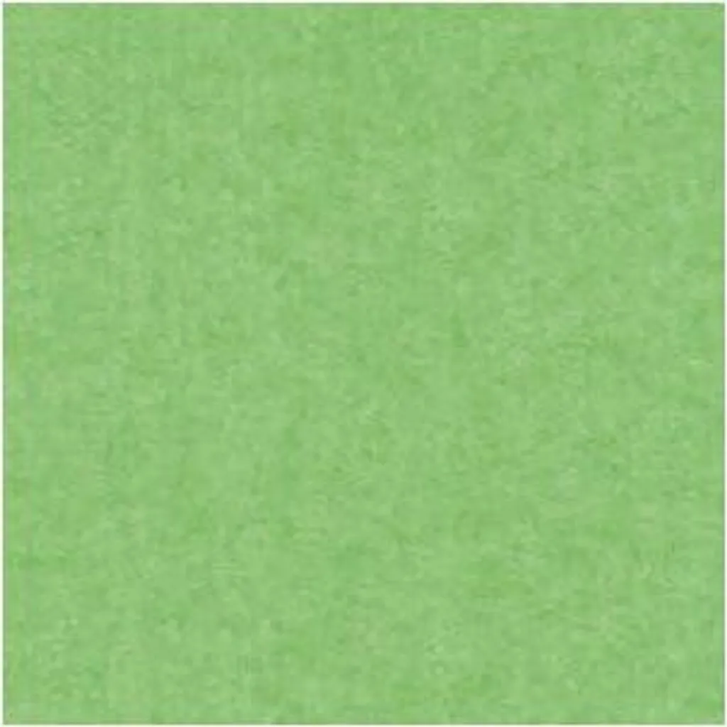 Carton Bristol A1 Vert Clair 4870 Rigide pour Supports de Présentation