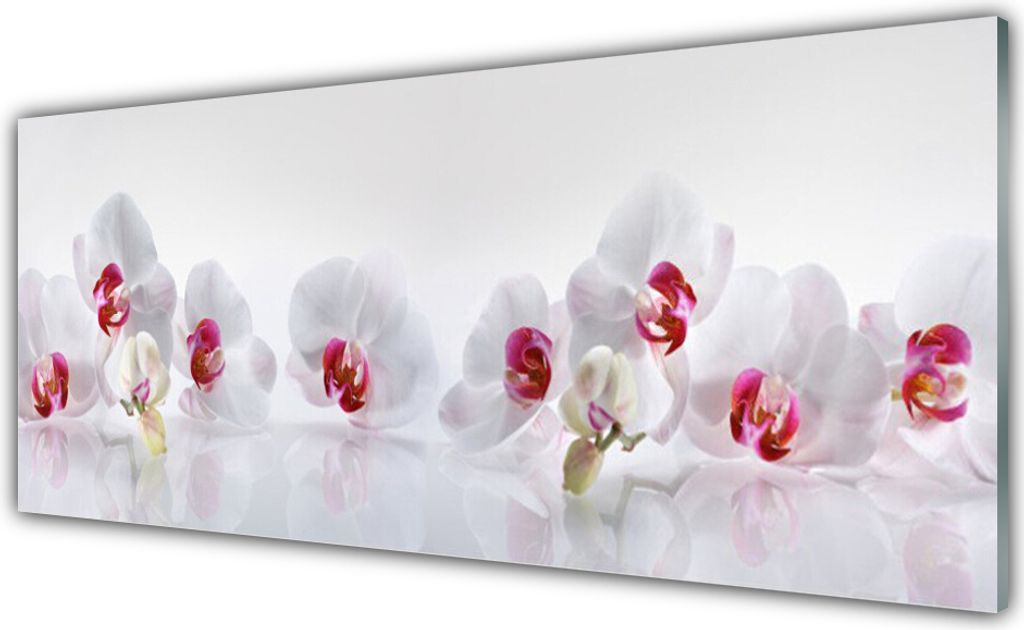 Glasbilder 125x50 Wandbild Druck auf Glas Blumen Pflanzen