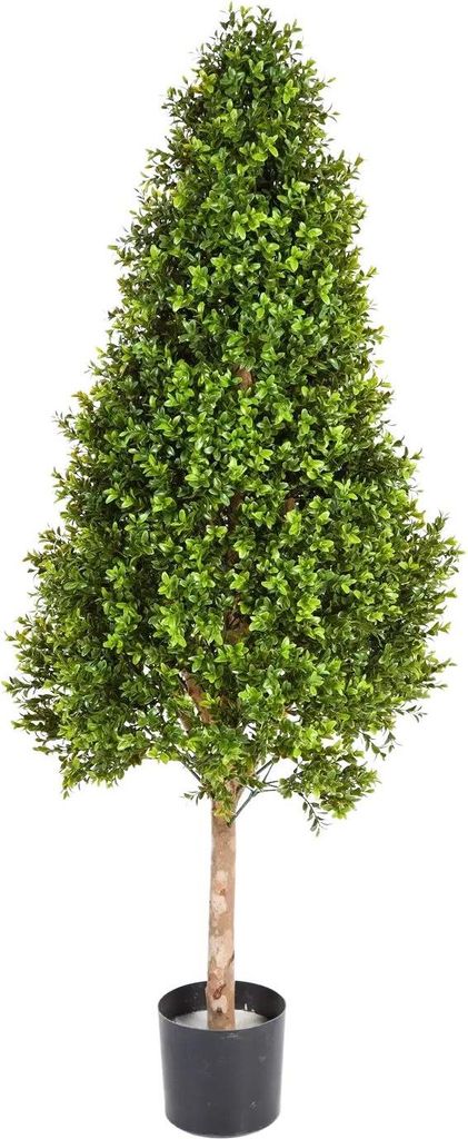 aplanta Künstlicher Buchsbaum - Rene | 105 cm, für drinnen, Kunstbaum, wie echt, Allergiker geeignet, pflanzliche Dekoration Praxis, Office & Woh...