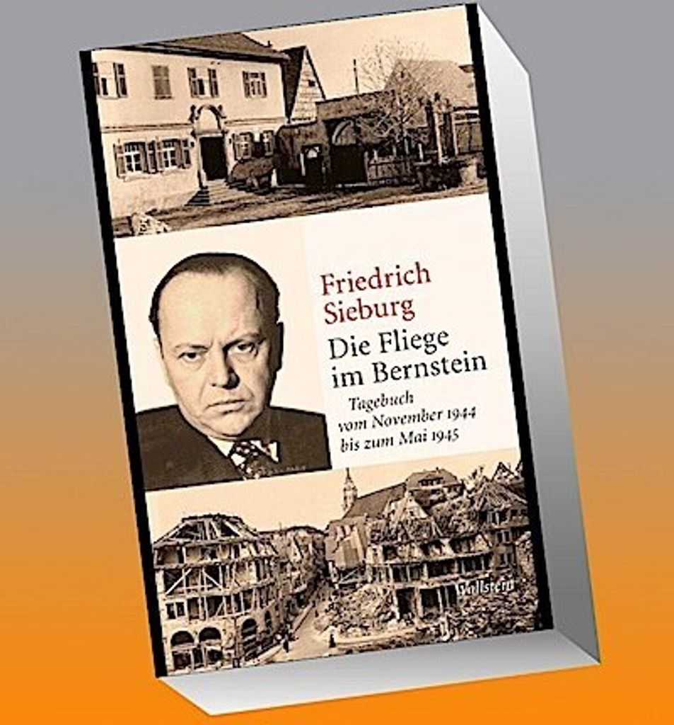 Die Fliege im Bernstein