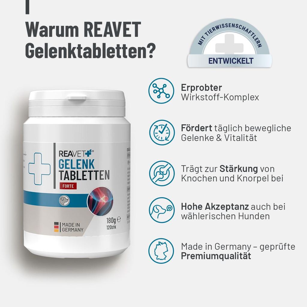 REAVET Gelenktabletten Hund - 120 Stück für 8 Monate - Gelenk-Tabletten für Hunde mit Grünlippmuschel, MSM & Teufelskralle I Für mehr Bewegung...
