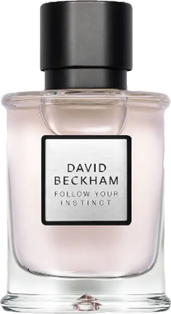 David Beckham Follow Your Instinct Eau de Parfum für Herren 50 ml