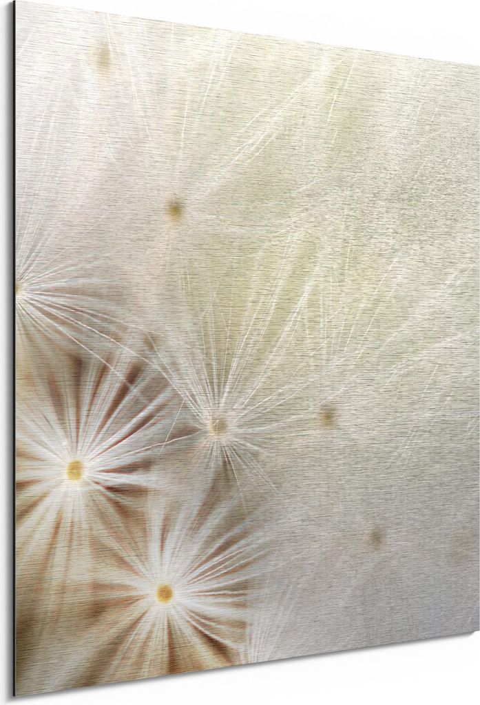 DEQORI Alu-Dibond Bild Silber 50x50 cm 'Pusteblume ganz nah' Wandbild Metall dünn Design